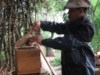 Form\'Action Apiculture au Laos