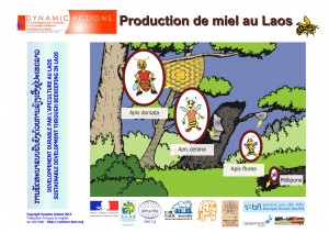 Apiculture_0033_couv_EN-FR-LA_lao-uniext-page001